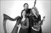 Trio393BW_3.jpg (523049 bytes)