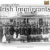 Irish 1900 A.jpg (33070 bytes)